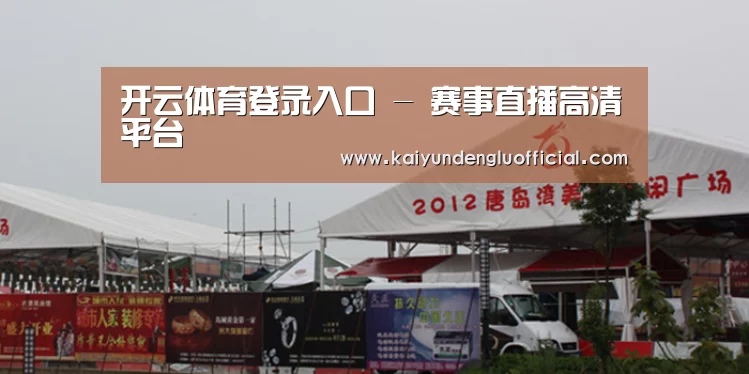 案例标题十