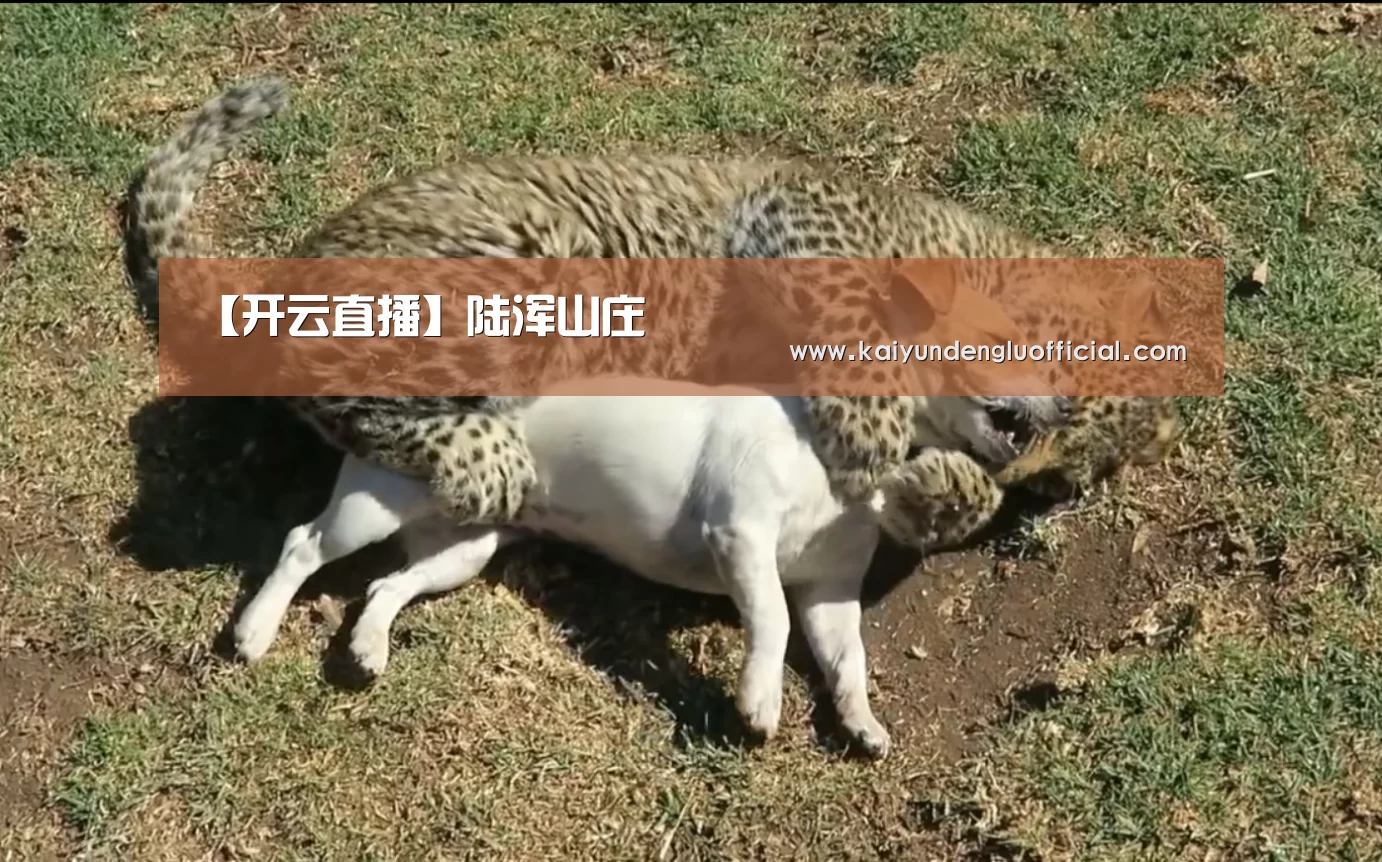 【开云直播】陆浑山庄(图4) 开云直播