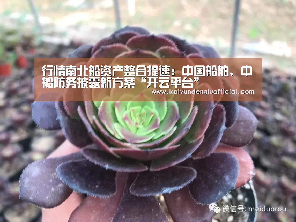 行情南北船资产整合提速:中国船舶、中船防务披露新方案“开云平台”(图2) 开云赛事